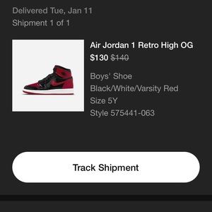 Air Jordan retro high OG